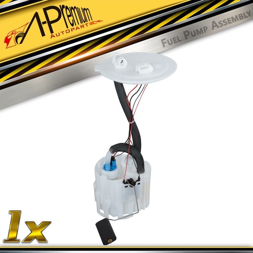 Premium fuel pump - a-premium, in