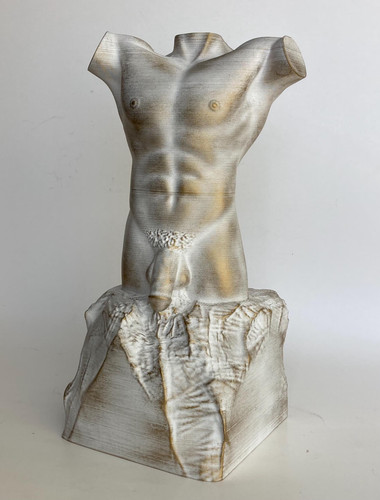 Male torso sculpture white - torso, —