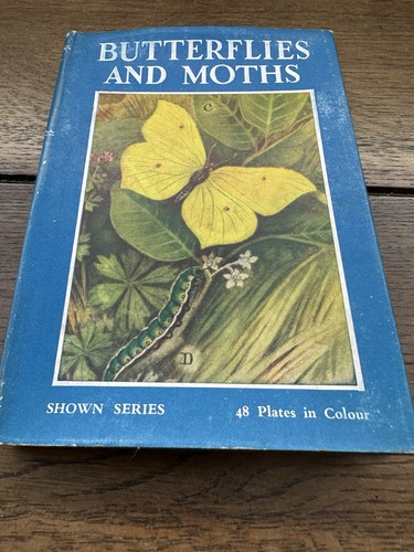 Butterflies and moths shown - butterflies,