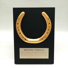 Racehorse Mayano Top Gun
