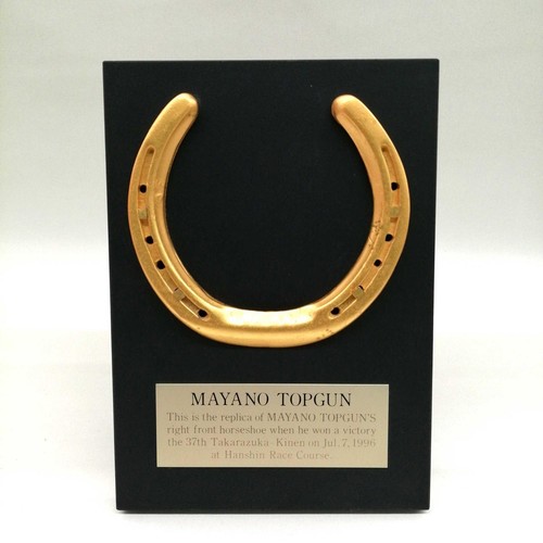 Racehorse mayano top - racehorse, gun