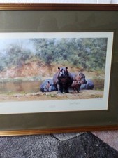 David shepherd limited edition signed print,free frame and glass.Hot potami,rare