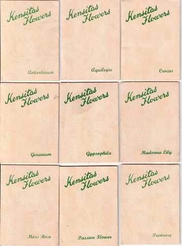 Kensita wix silk cigarette - kensita,