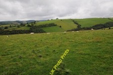 Photo 6x4 Rolling pasture land