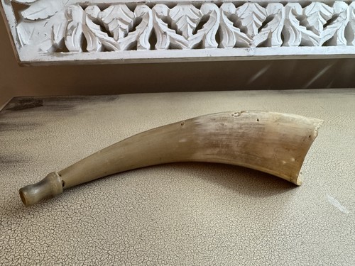 Vintage natural cow horn - vintage,