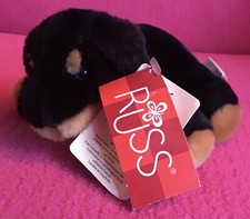 Russ Pedigree Pups Roxy