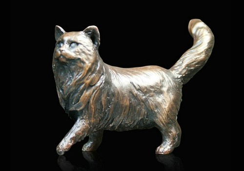 Small long haired cat - small,