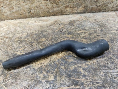 Jaguar other body parts - jaguar,