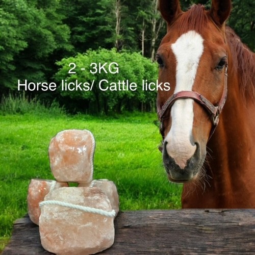 Himalayan salt lick for - himalayan,