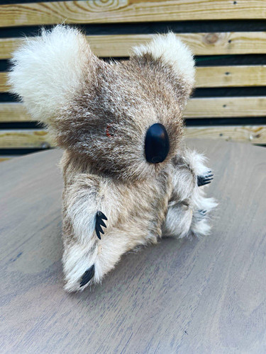 Vintage australian kangaroo - vintage,