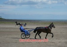 PHOTO  SULKY RACING FLY PAST