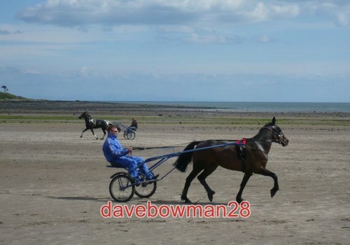 Photo sulky racing fly - , past