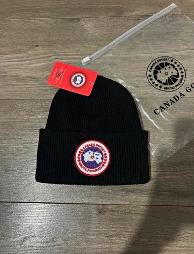 Canada goose black - canada,