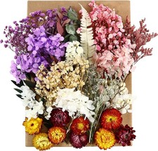 3 Boxes Natural Dried Flowers