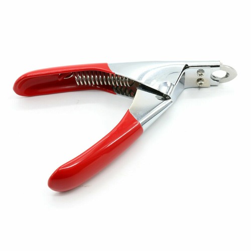 Stainless steel poultry nail - steel,