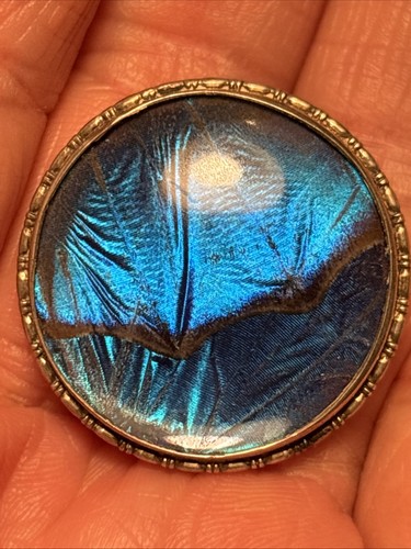 Vintage large morpho - vintage,