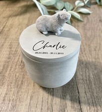 Personalised Guinea Pig Urn /