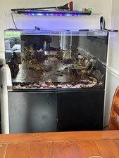 Red Sea Reefer 350 Aquarium