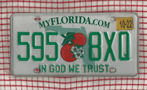 Florida american license - florida,