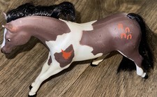 Vtg Grand Champion Indigenous
