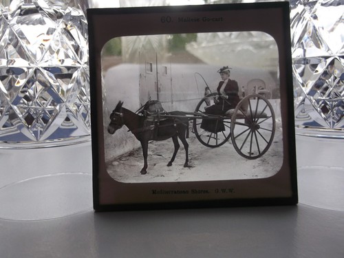 Maltese cart woman on - go-cart,,