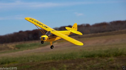 Scale piper cub 9 foot - scale,
