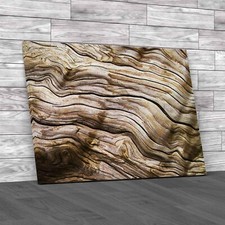 Driftwood Canvas Print Large