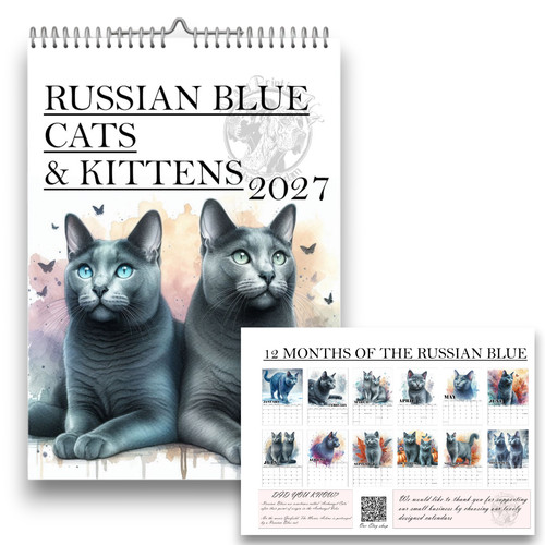 Russian blue cat - russian,
