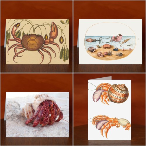 Crab themed greeting cards - themed, cards,