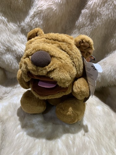 Beverly hills teddy bear - beverly, co