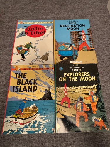 Tintin book bundle - tintin,