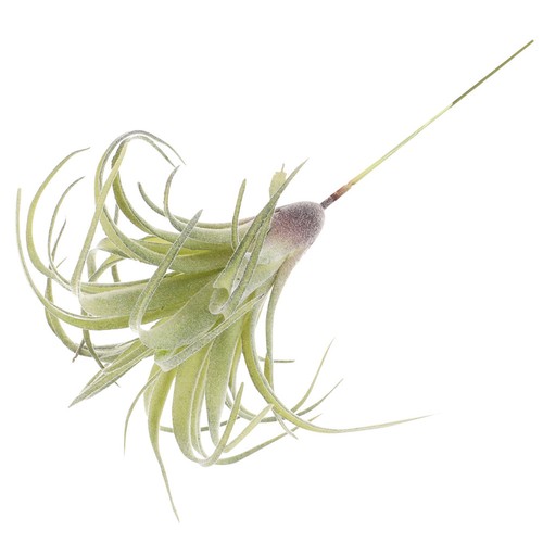 Artificial flower home - home, decor