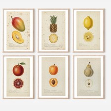 Set of 6 Antique Inspired