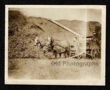FARM HORSE DRAWN EQUIPMENT HARVET TIME FARMER OLD/VINTAGE PHOTO SNAPSHOT- C129