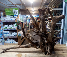 Large Corbo Root Aquarium