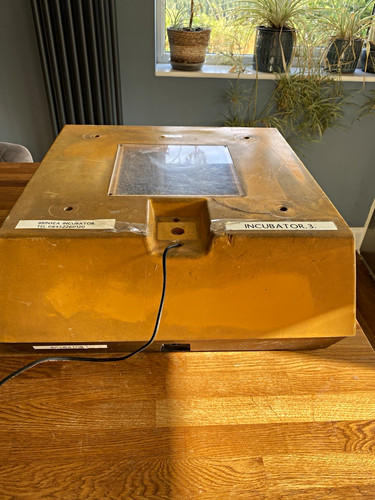 Brinsea chicken egg incubator - brinsea,