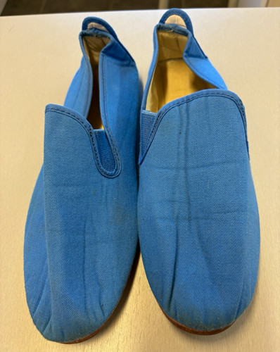 Flossy style blue canvas - blue,