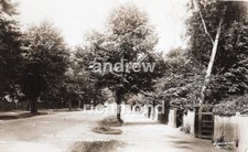 Worcester Park The Avenue