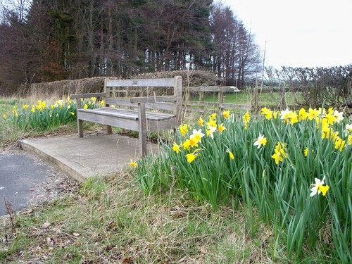 Photo field hope west - a2,