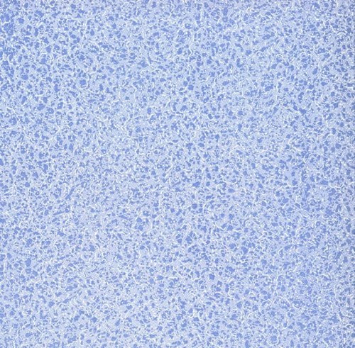 Blue lace wallpaper for 12th - for,