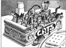 Cat print, Tin of Cats, cat