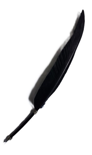 Feather quill with nib - quill, for