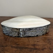 Iridescent Mother of Pearl