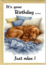 Hungarian vizsla dog birthday - vizsla,