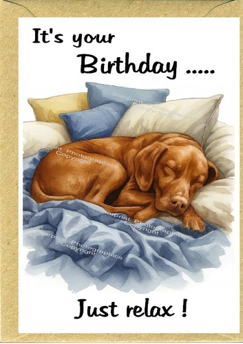 Hungarian vizsla dog birthday - hungarian,