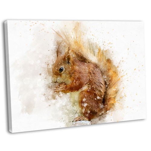 Red squirrel watercolour - red,