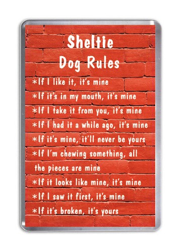 Sheltie dog rules - rules,,
