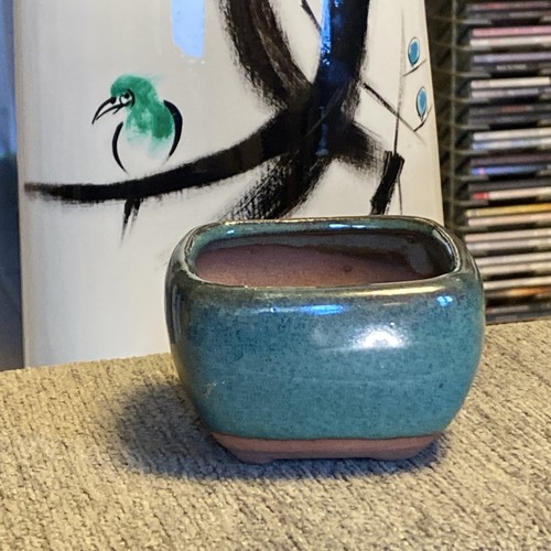 Bonsai pot glazed footed 5cm - bonsai,