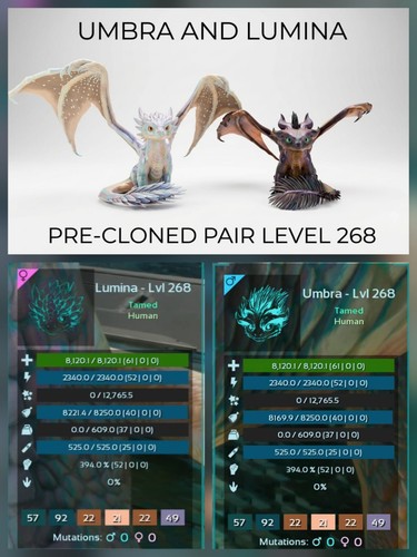 Umbra and lumina pre cloned - lumina, pre-cloned