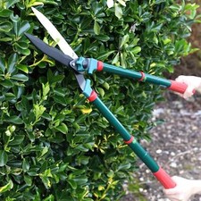 Dekton Telescopic Hedge Shears